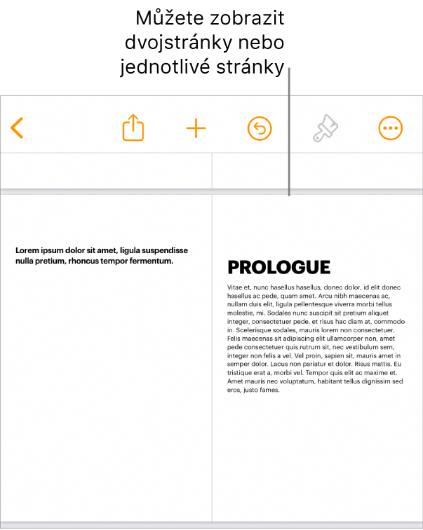 Dokument se stránkami zobrazenými jako dvojstránky