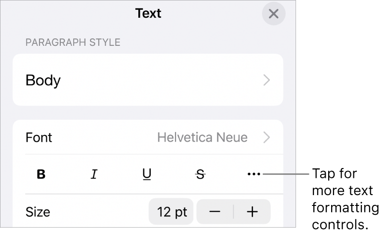 The Text tab of the Format controls, with a callout to the More Text Options button.