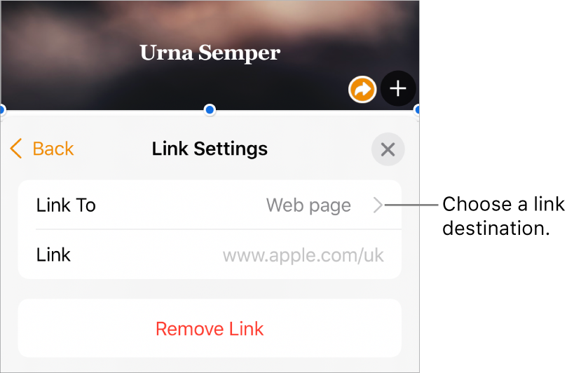 The Link Settings controls with a Display field, Link To (set to Web page) and Link field. The Remove Link button is at the bottom of the controls.