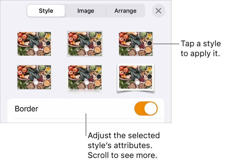 The Style of the Format menu, with object styles at the top and a control below them to change the border.