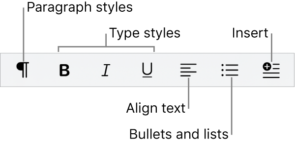 The Quick Format bar, showing icons for paragraph styles, type styles, text alignment, bullets and lists, and inserting elements.