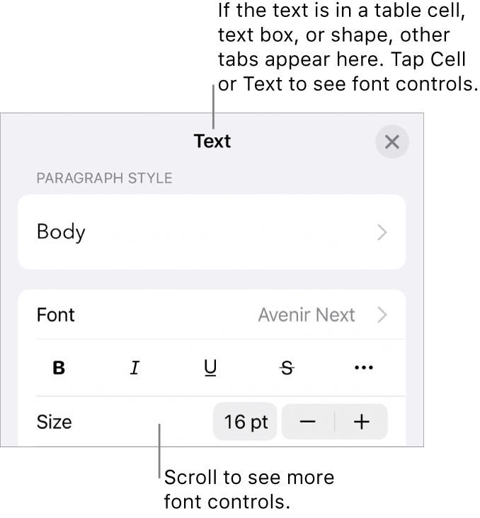 Text controls in the Format menu for setting paragraph and character styles, font, size, and color.