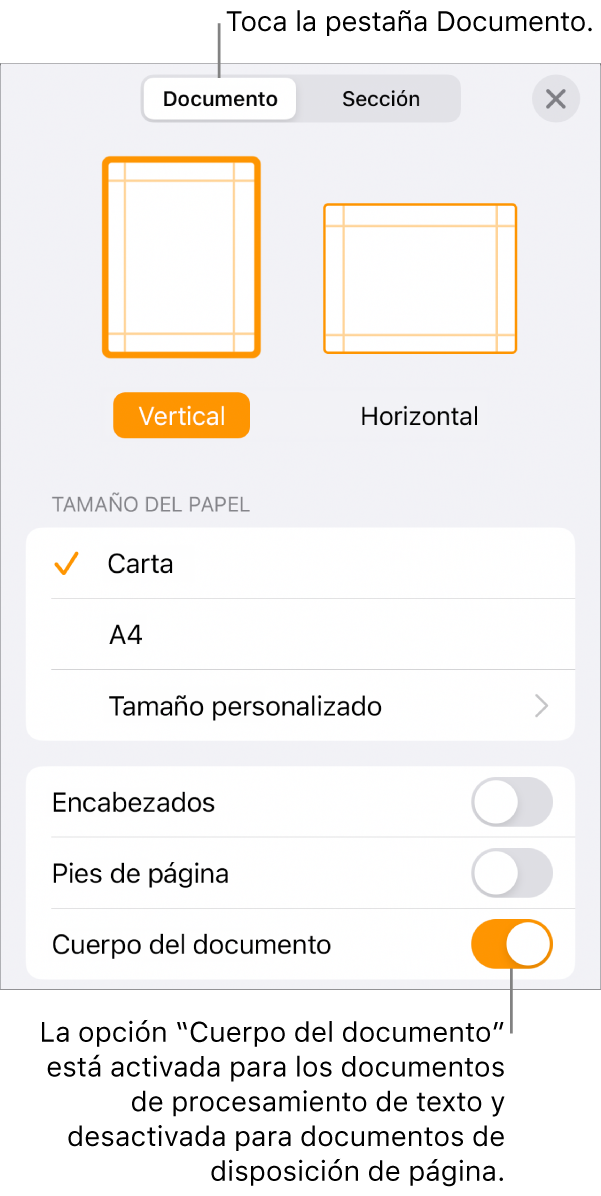 Los controles de formato del Documento con “Cuerpo del documento” activado cerca de la parte inferior de la pantalla.