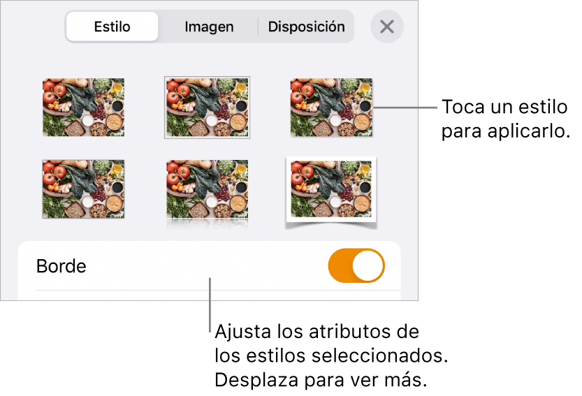 La pestaña Estilo con estilos de imagen en la parte superior y el botón “Opciones de estilo” en la parte inferior.