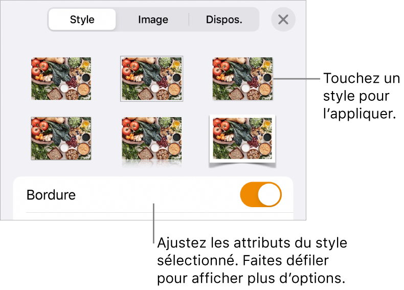 L’onglet Style avec les styles d’images en haut et le bouton Options de style en bas.