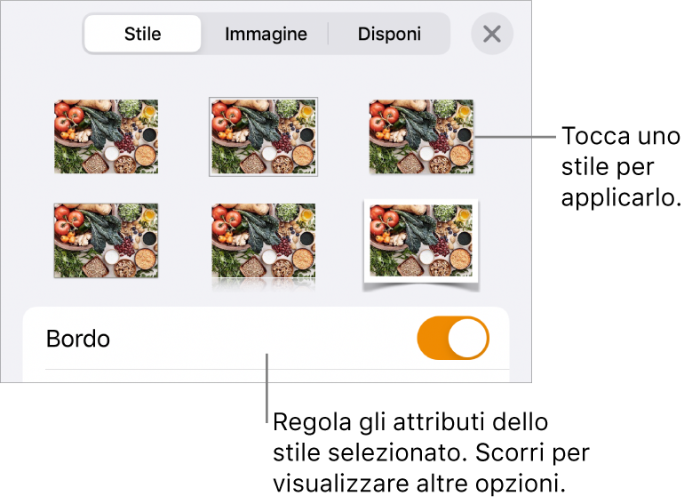 Pannello Stile del menu Formato con gli stili dell'oggetto in alto e un controllo sottostante per cambiare il bordo.