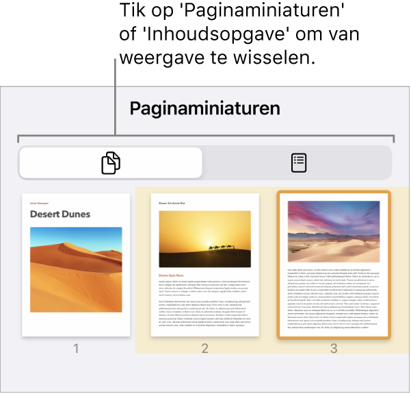 De paginaminiatuurweergave met miniatuurafbeeldingen van elke pagina. Onder in het scherm staan de knoppen 'Paginaminiaturen' en 'Inhoudsopgave'.