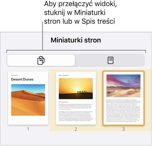 Widok miniaturek stron zawierający miniaturki każdej strony. Na dole ekranu widoczny jest przycisk Miniaturki stron oraz przycisk Spis treści.