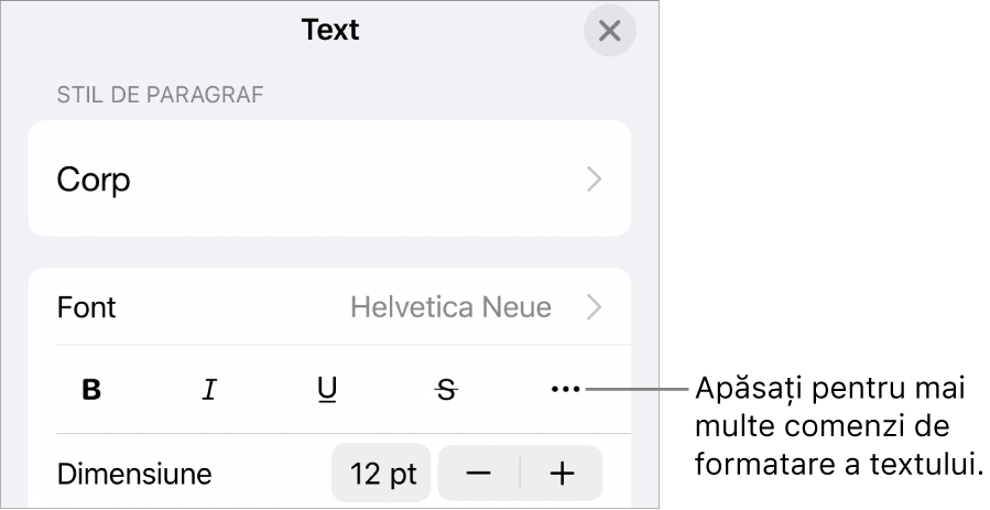 Fila Text a comenzilor Format, cu o explicație pentru butonul Alte opțiuni de text.