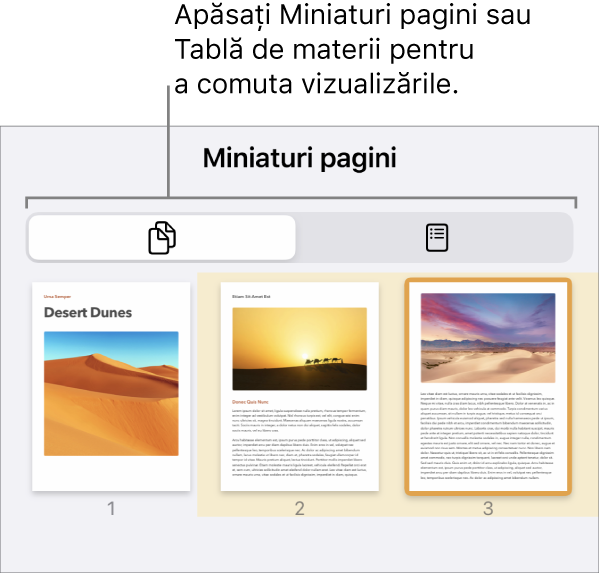 Vizualizarea Miniaturi pagini, cu imagini miniaturi pentru fiecare pagină. Butonul Miniaturi pagini și butonul Tablă de materii se află în partea de jos a ecranului.