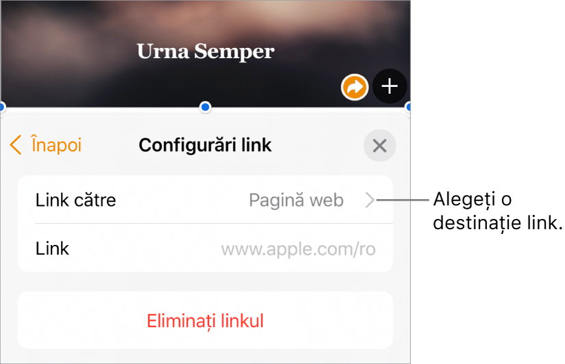 Comenzile din Configurări link cu un câmp Afișare, Link către (configurat la Pagină web) și câmpul Link. În partea de jos a comenzilor se află butonul Eliminați linkul.