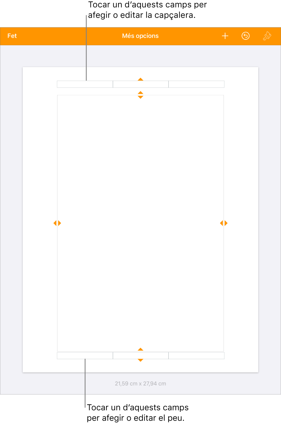 La vista “Més opcions” amb tres camps a la part superior del document per a les capçaleres i tres camps a la part inferior per als peus de pàgina.