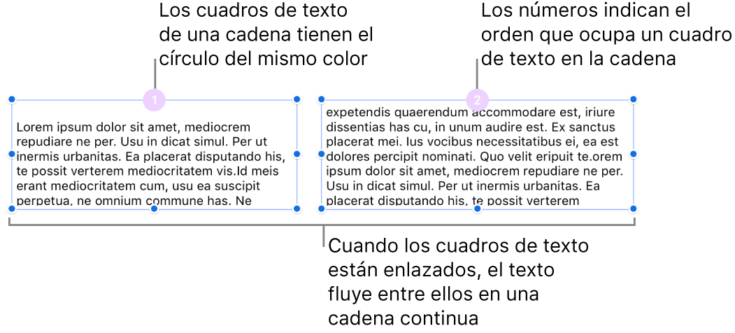 Dos cuadros de texto con círculos de color morado en la parte superior y los números 1 y 2 dentro de los círculos.