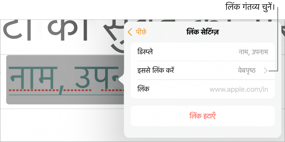 “प्रदर्शन” फ़ील्ड, “इससे लिंक करें” (वेबपृष्ठ पर सेट) और “लिंक” फ़ील्ड से लिंक सेटिंग्ज़ नियंत्रण करते हैं। “लिंक हटाएँ” बटन नियंत्रण के सबसे नीचे स्थित होता है।