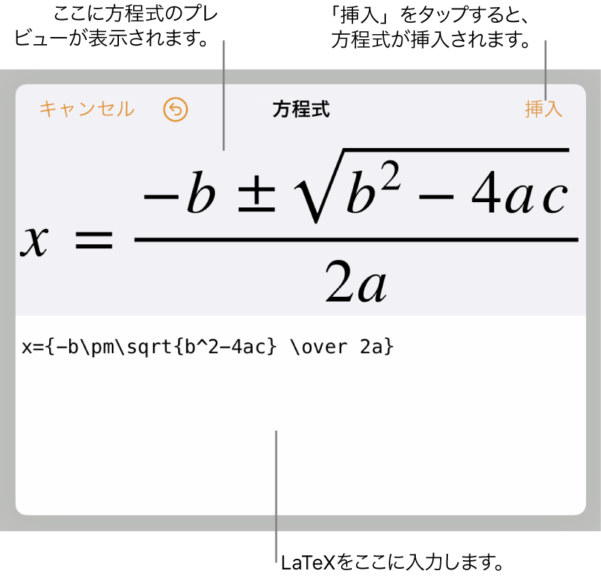 LaTeXを使用して書き込まれた二次方程式の解の公式が「方程式」フィールドに、公式のプレビューがその下に表示されます。
