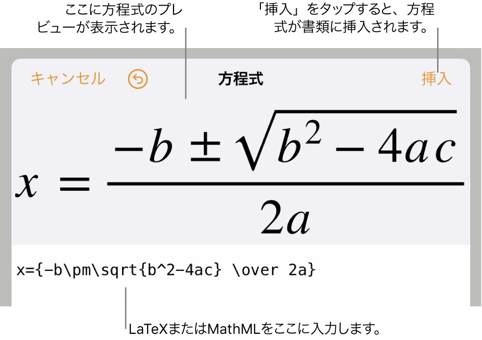 方程式編集ダイアログ。LaTeXコマンドを使用して書き込まれた二次方程式の解の公式が表示され、その上に公式のプレビューが表示されています。