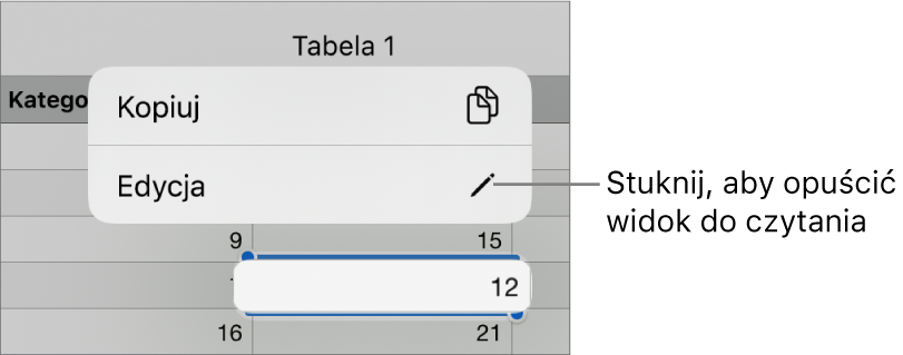 Zaznaczona komórka tabeli z widocznym powyżej menu kontekstowym zawierającym przyciski Kopiuj oraz Edycja.