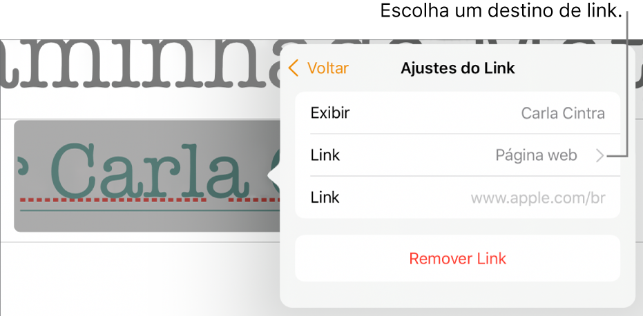 Controles de “Ajustes do Link” com o campo Exibir, Link (definido como Página web) e o campo Link. O botão Remover Link está na parte inferior dos controles.