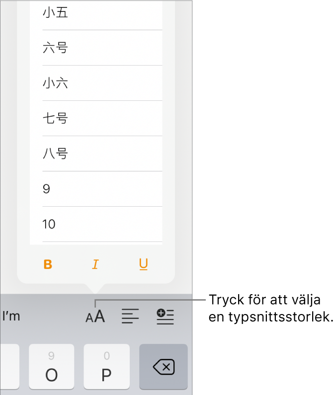 Knappen för typsnittsstorlek till höger om iPad-tangentbordet och menyn för typsnittsstorlek öppen. De myndighetsstandardiserade typsnittsstorlekarna för fastlandskina visas högst upp i menyn och punktstorlekarna under dem.