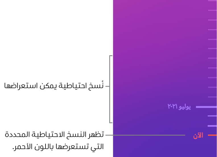 علامات اختيار في المخطط الزمني للنسخ الاحتياطي. علامة اختيار باللون الأحمر تشير إلى النسخة الاحتياطية التي تستعرضها.