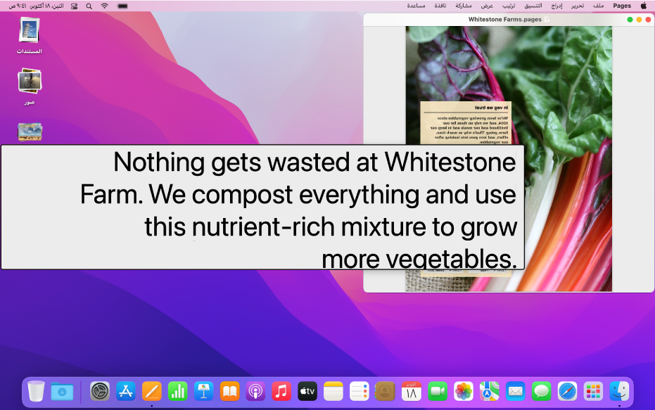 مستند Pages به نافذة نص التحويم تعرض نسخة كبيرة عالية الدقة من النص في المستند.