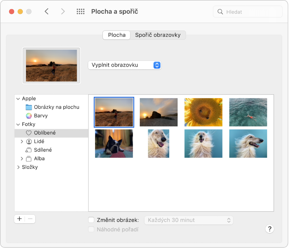 Panel Plocha v předvolbách Plocha a spořič. Nalevo na panelu je vybraná složka Oblíbené fotky; napravo je jako fotka na ploše vybrána jedna fotografie