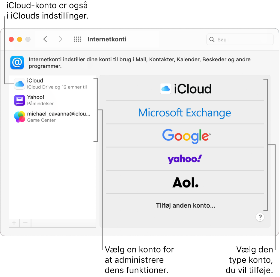 Vinduet Internetkonti, hvor konti vises til højre og tilgængelige kontotyper vises til venstre.