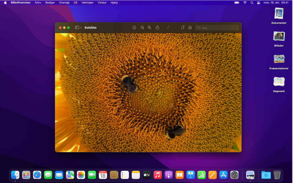 Skrivebordet med udseendet Mørk på en Mac, hvor et appvindue, Dock og menulinjen har et mørkt udseende.