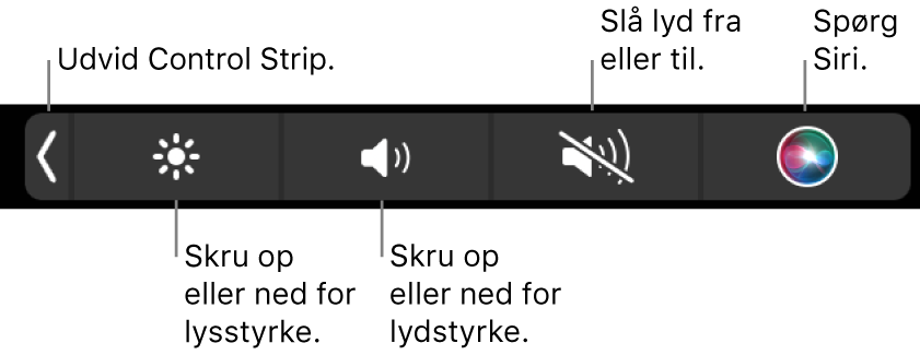 Den formindskede Control Strip har knapper, der fra venstre mod højre udvider Control Strip, skruer op eller ned for skærmens lysstyrke og lydstyrken, slår lyden til eller fra og aktiverer Siri.