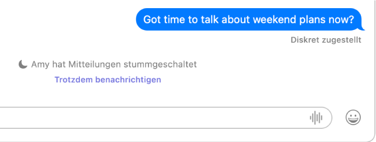 Eine Unterhaltung in der App „Nachrichten“. Die App „Nachrichten“ zeigt an, dass eine gesendete Nachricht leise zugestellt wurde, weil Mitteilungen auf Empfängerseite stummgeschaltet sind. Darunter befindet sich der Link „Trotzdem benachrichtigen“, über den der Absender die Nachricht senden kann.