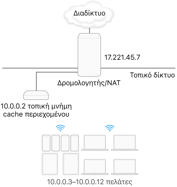 Ένας μεμονωμένος διακομιστής cache υποδικτύου.