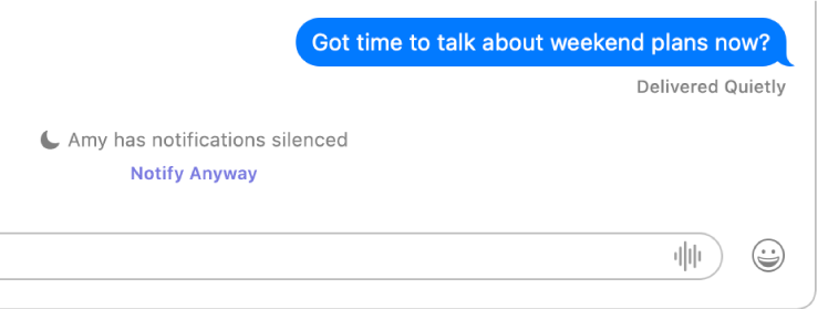 A Messages conversation. Messages indicates that a sent message was delivered quietly because the recipient has notifications silenced. Below is a “Notify Anyway” link the sender can click to send the message.