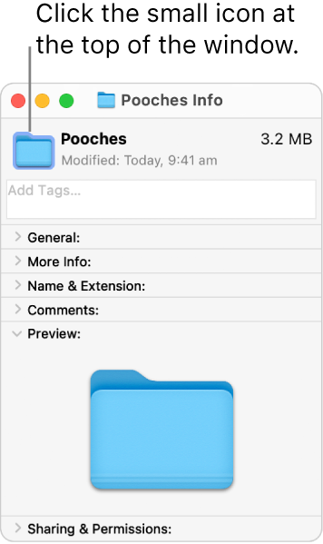 The Info window for the other folder showing the generic icon selected.
