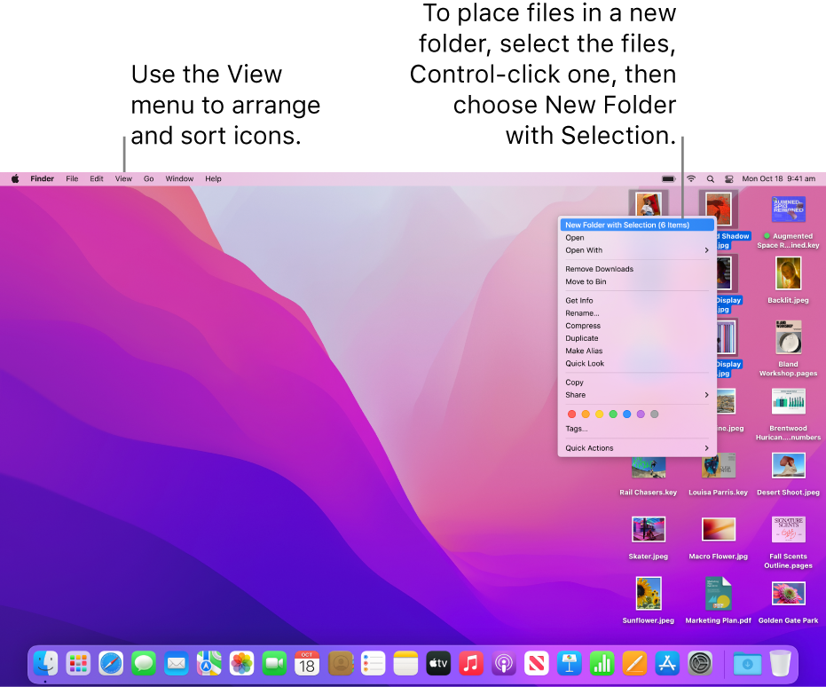 A desktop showing files and folders. Several files are selected to be placed in a new folder. A Control-click of a selected file shows a pop-up menu and New Folder with Selection is chosen.