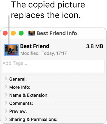 The Info window for a folder, showing the generic icon replaced by a picture.