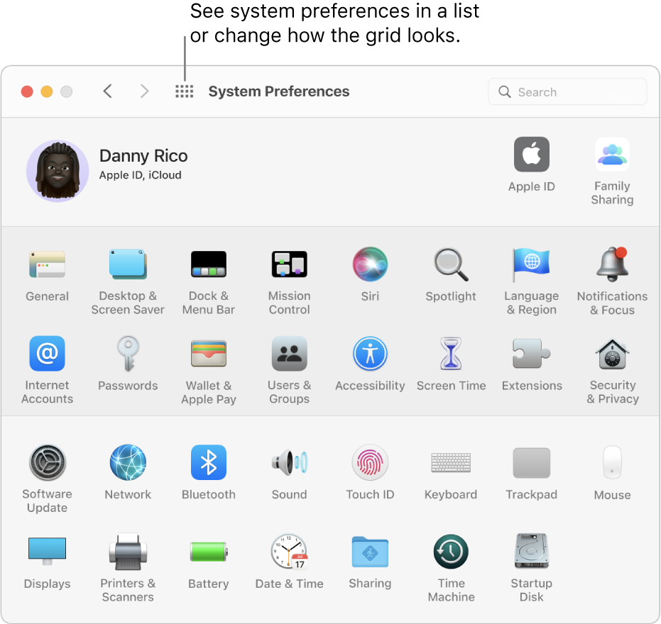 The System Preferences window showing the grid of icons. Click the Show All button in the window’s toolbar to show system preferences as a list or change how the grid looks.
