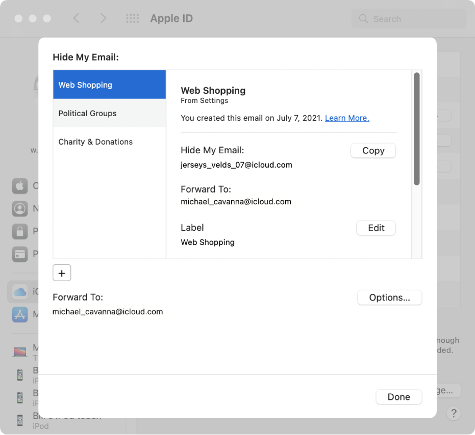 Hide My Email preference and Options button in the iCloud Preferences window.