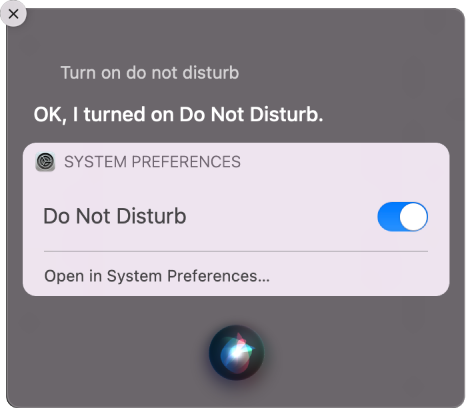 The Siri window showing a request to complete the task, “Turn on do not disturb.”