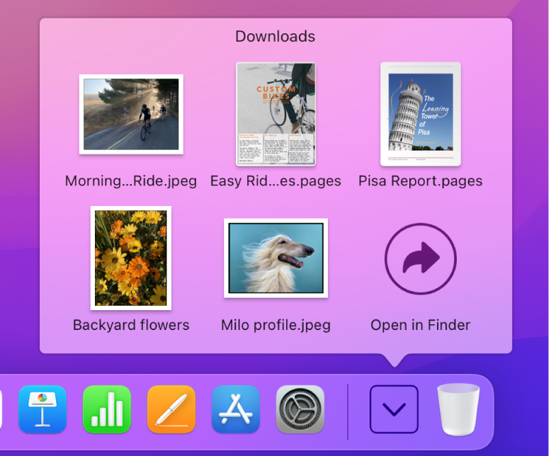 The Downloads folder open with its items viewed as a grid.