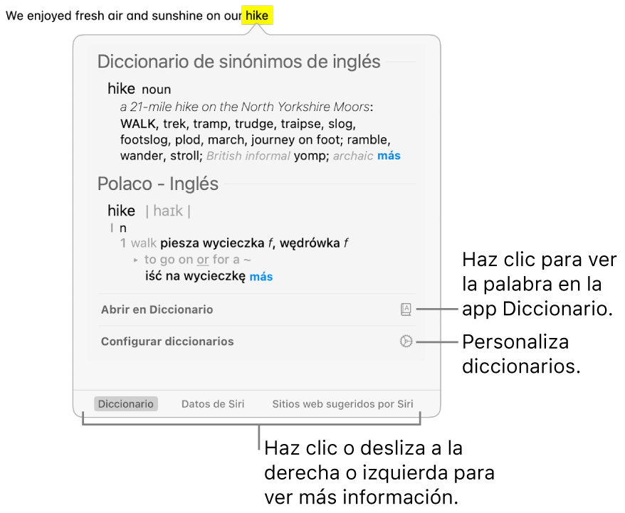 La ventana Consultar mostrando las definiciones de diccionario y tesauros para una palabra.