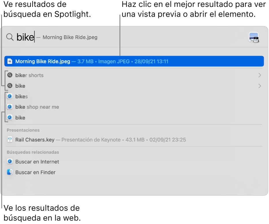 La ventana de Spotlight mostrando texto de búsqueda en el campo de búsqueda en la parte superior de la ventana, los resultados y sugerencias de búsqueda debajo.
