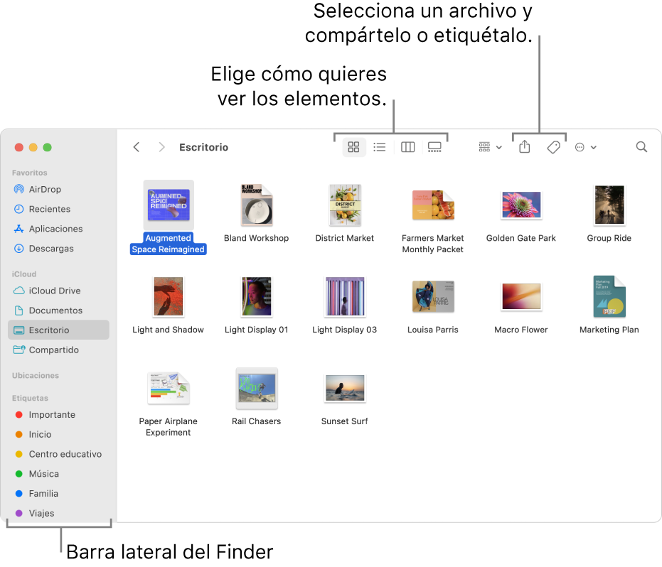 Una ventana del Finder con la barra lateral del Finder a la izquierda. En la parte superior de la ventana, hay cuatro botones que cambian la forma en que los elementos se muestran en la ventana, y botones adicionales para organizar y compartir los elementos.