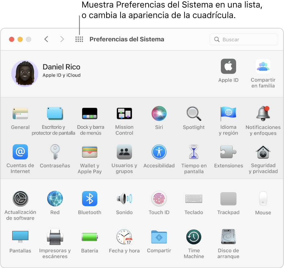 La ventana de Preferencias del Sistema con la cuadrícula de íconos. Haz clic en el botón "Mostrar todo" en la barra de herramientas de la ventana para mostrar las preferencias del sistema como una lista, o para cambiar el aspecto de la cuadrícula.