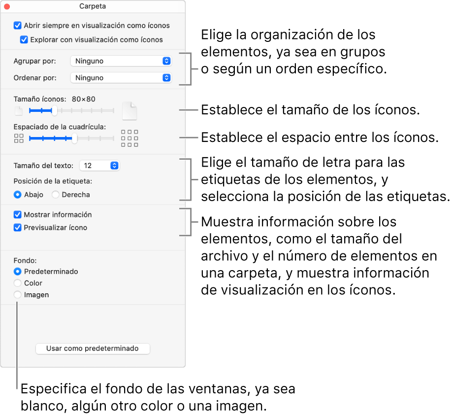 Opciones de visualización de íconos para una carpeta.