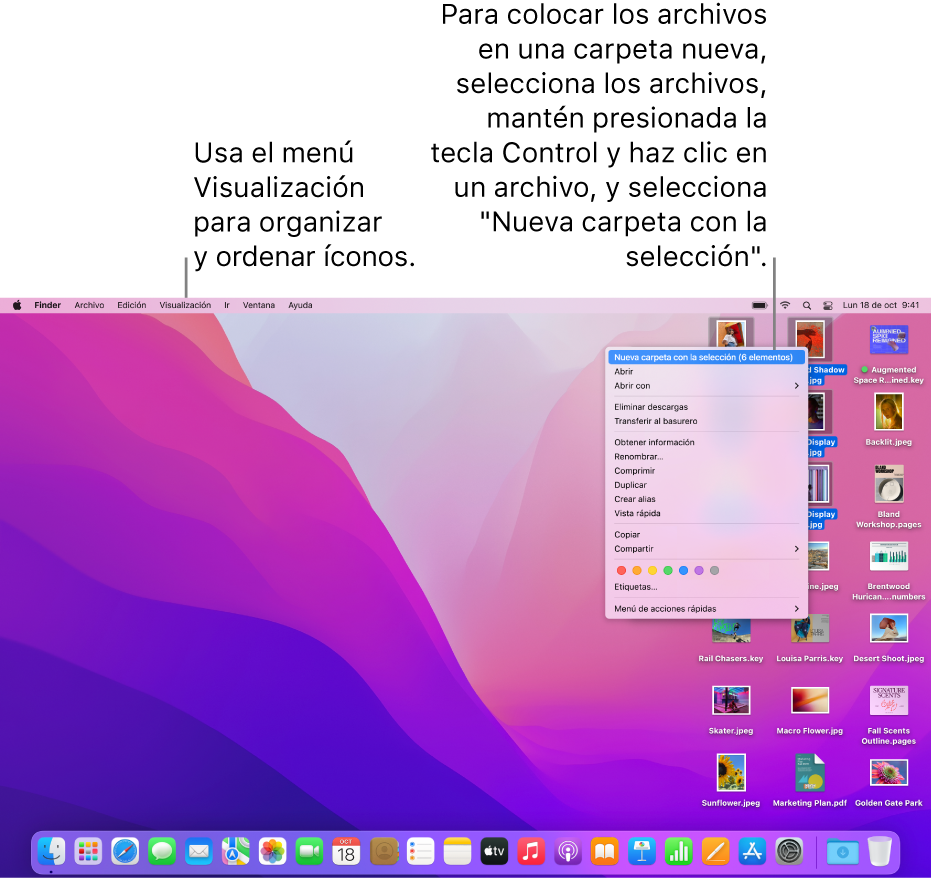 Un escritorio mostrando archivos y carpetas. Varios archivos están seleccionados para colocarlos en una carpeta nueva. Se muestra una carpeta seleccionada con un clic mientras se mantiene la tecla Control presionada, y se eligió “Nueva carpeta con la selección”.