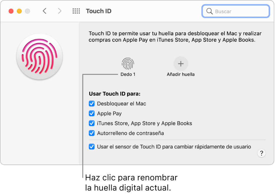 El panel de preferencias Touch ID mostrando que una huella dactilar ya está lista y puede utilizarse para desbloquear el Mac.
