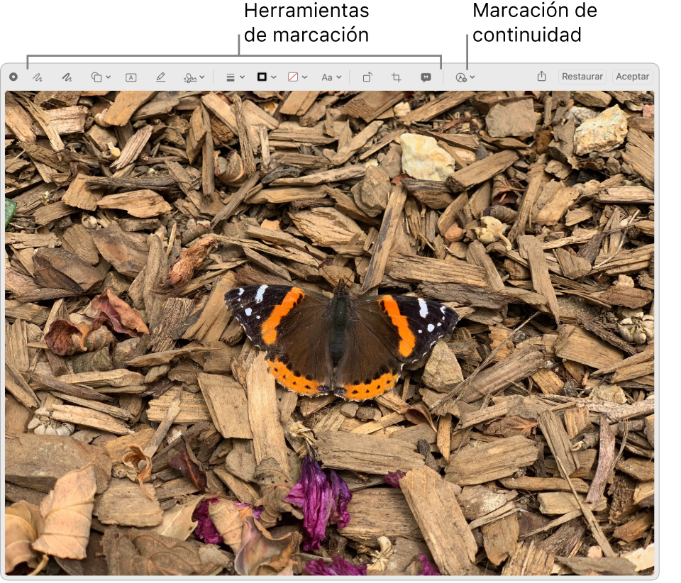 Una imagen en la ventana Marcación que muestra la barra de herramientas de Marcación y la herramienta en la que se debe hacer clic para usar la marcación de continuidad en un iPhone o un iPad cercano.