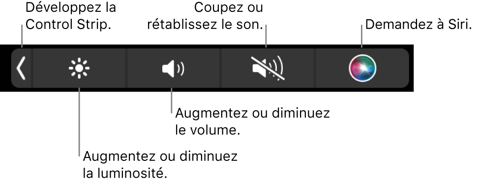 La Control Strip condensée comprend des boutons de gauche à droite, pour développer la Control Strip, augmenter ou baisser la luminosité de l’écran ou le volume, couper ou rétablir le son et utiliser Siri.