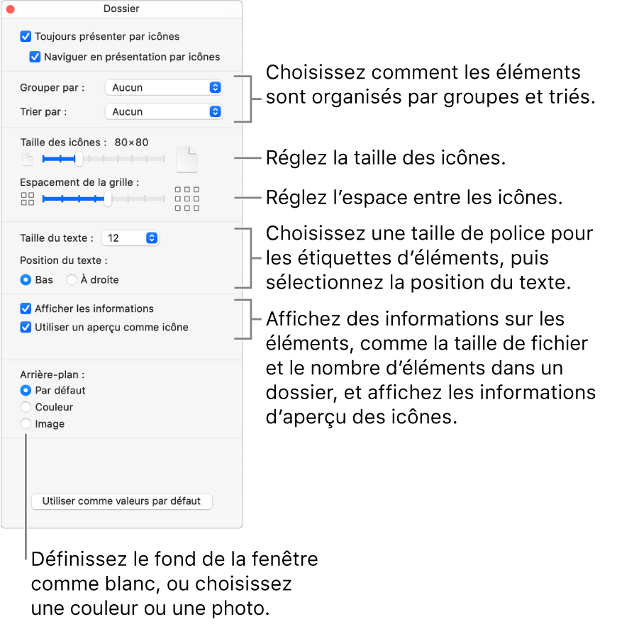 Options de présentation d’un dossier par icônes.