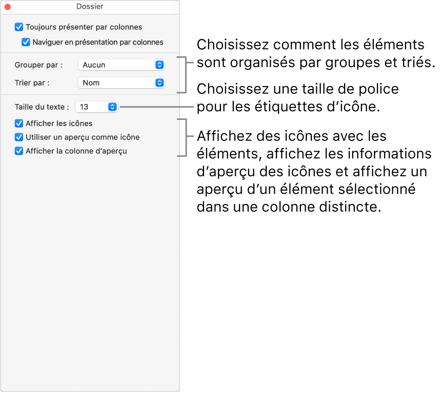 Options de présentation d’un dossier par colonnes.
